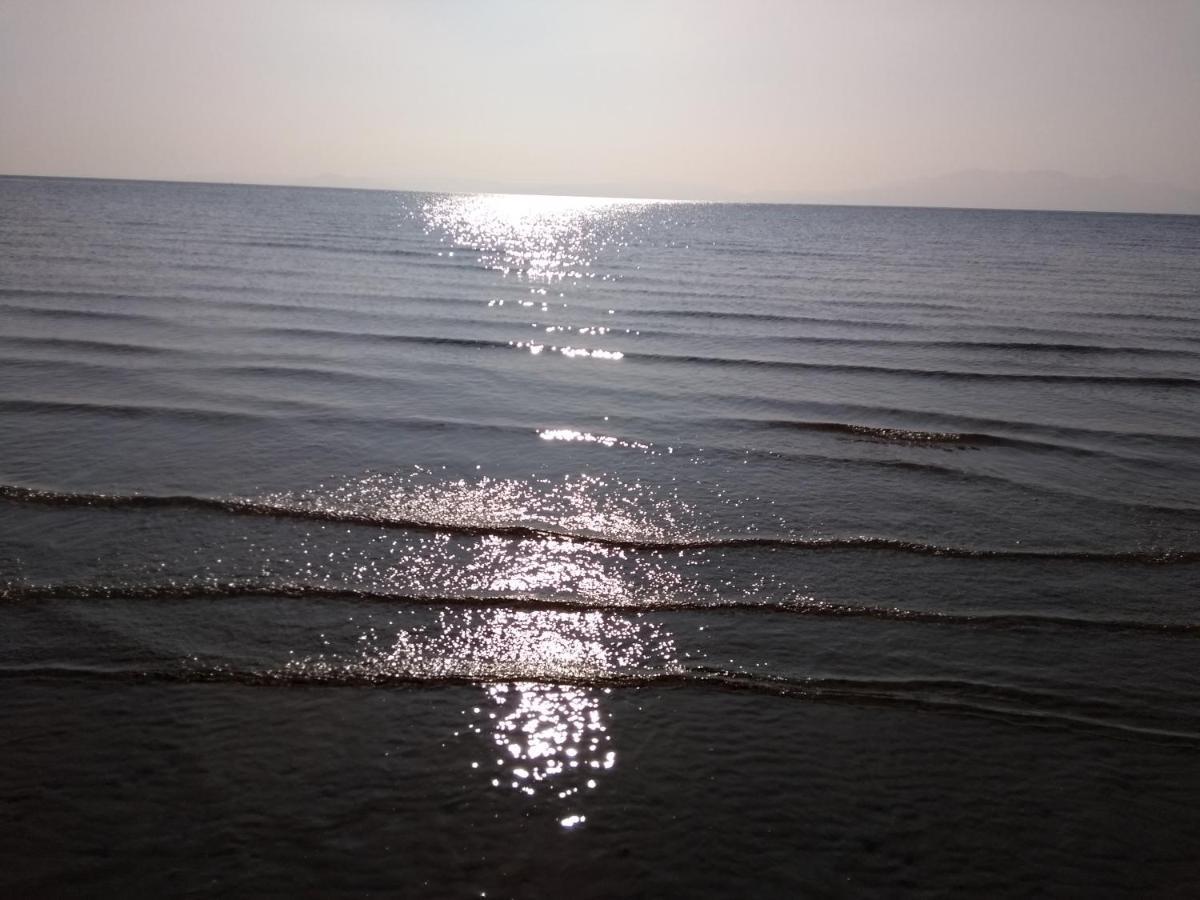 Cleeves Cabins Ailsa Luxury Lodge With Hot Tub Dalry  Екстер'єр фото